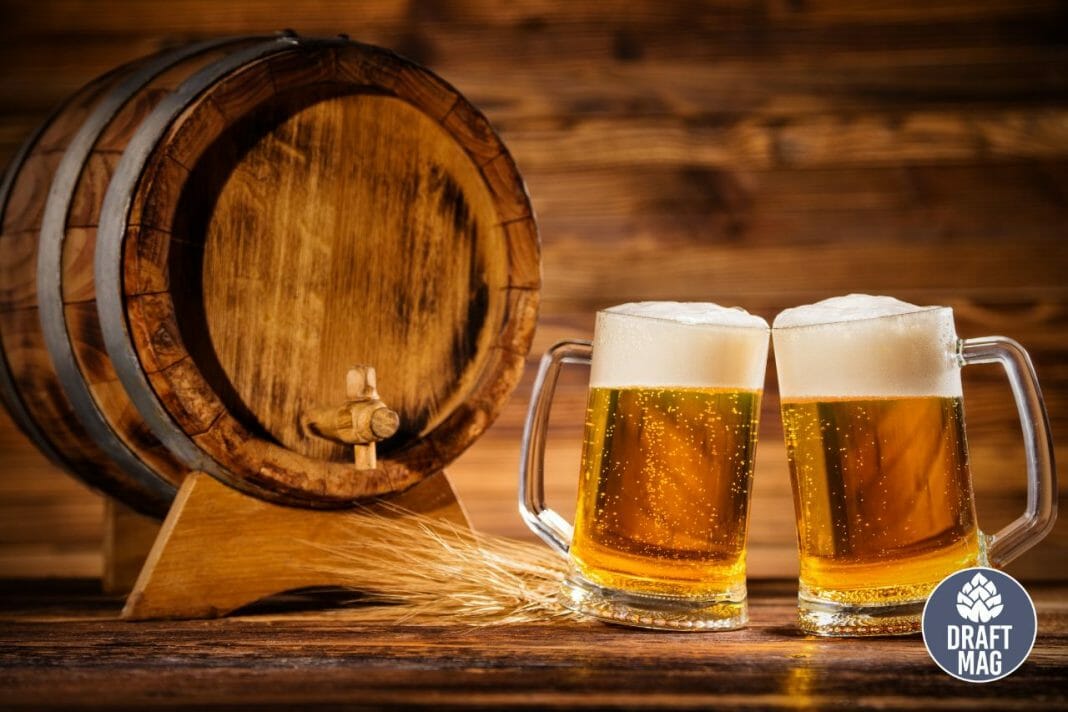 Special Export Beer Review Should You Take a Chance on This Brew?