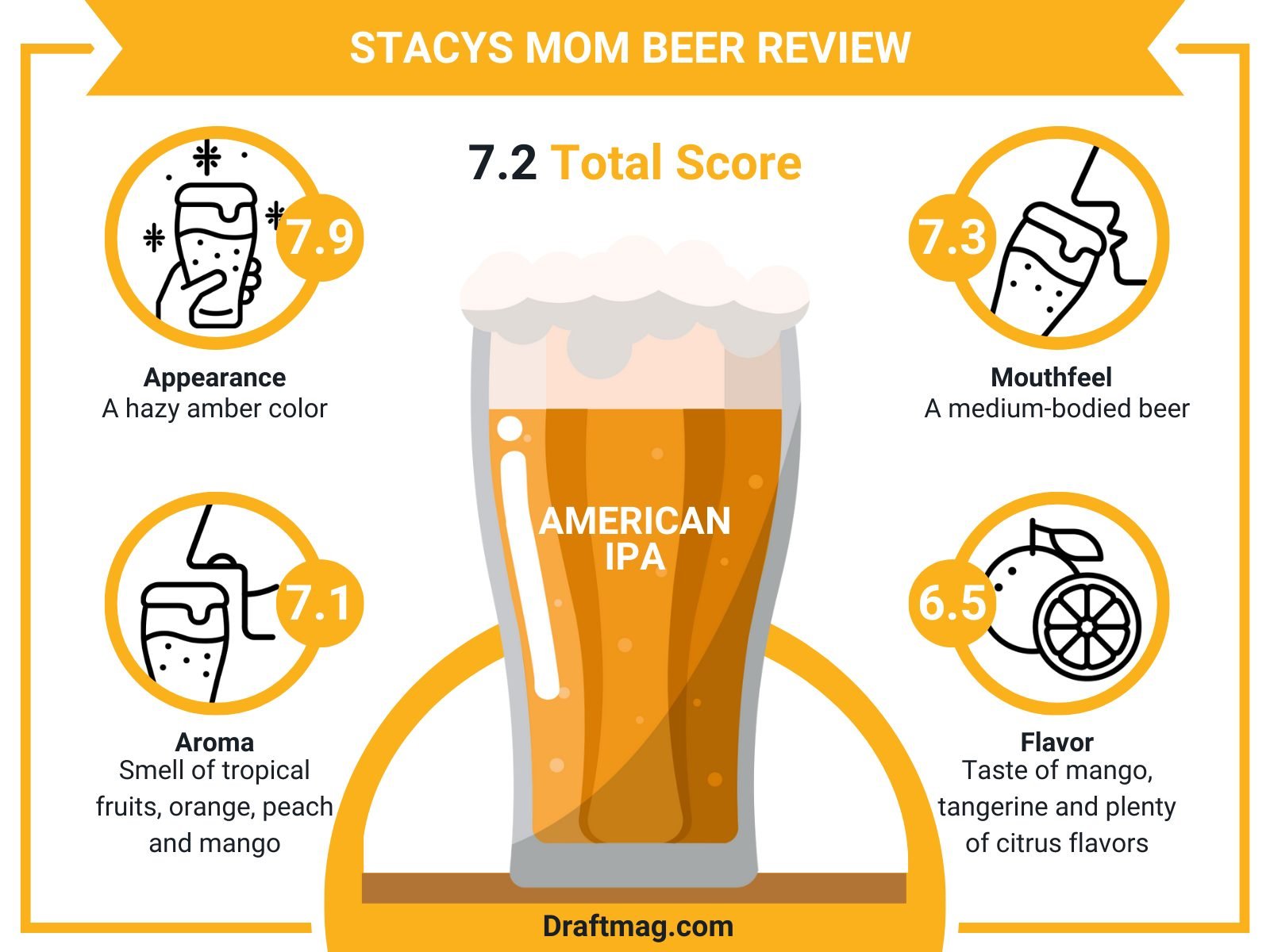 Stacys Mom Beer Review Infographic