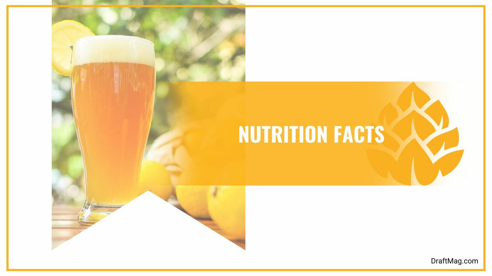 Stats of Leinenkugel Lemon Haze