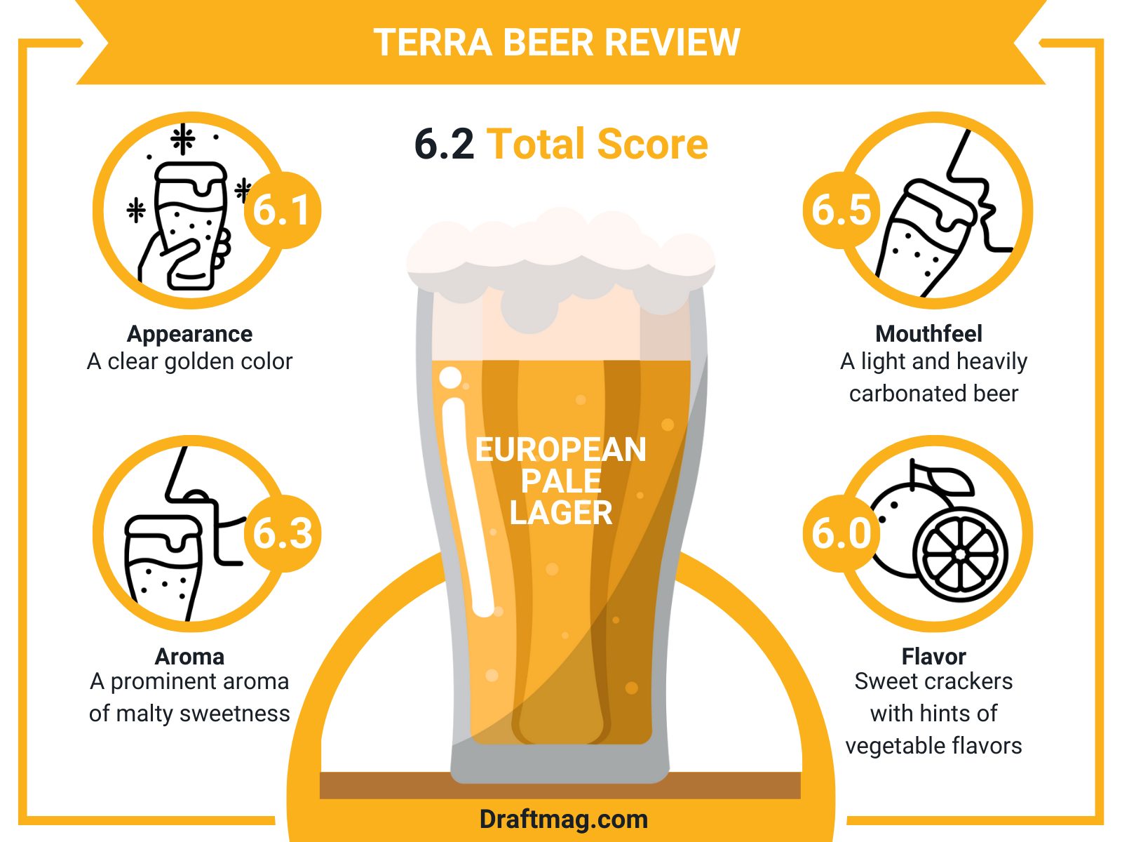 Terra Beer Review Infographic