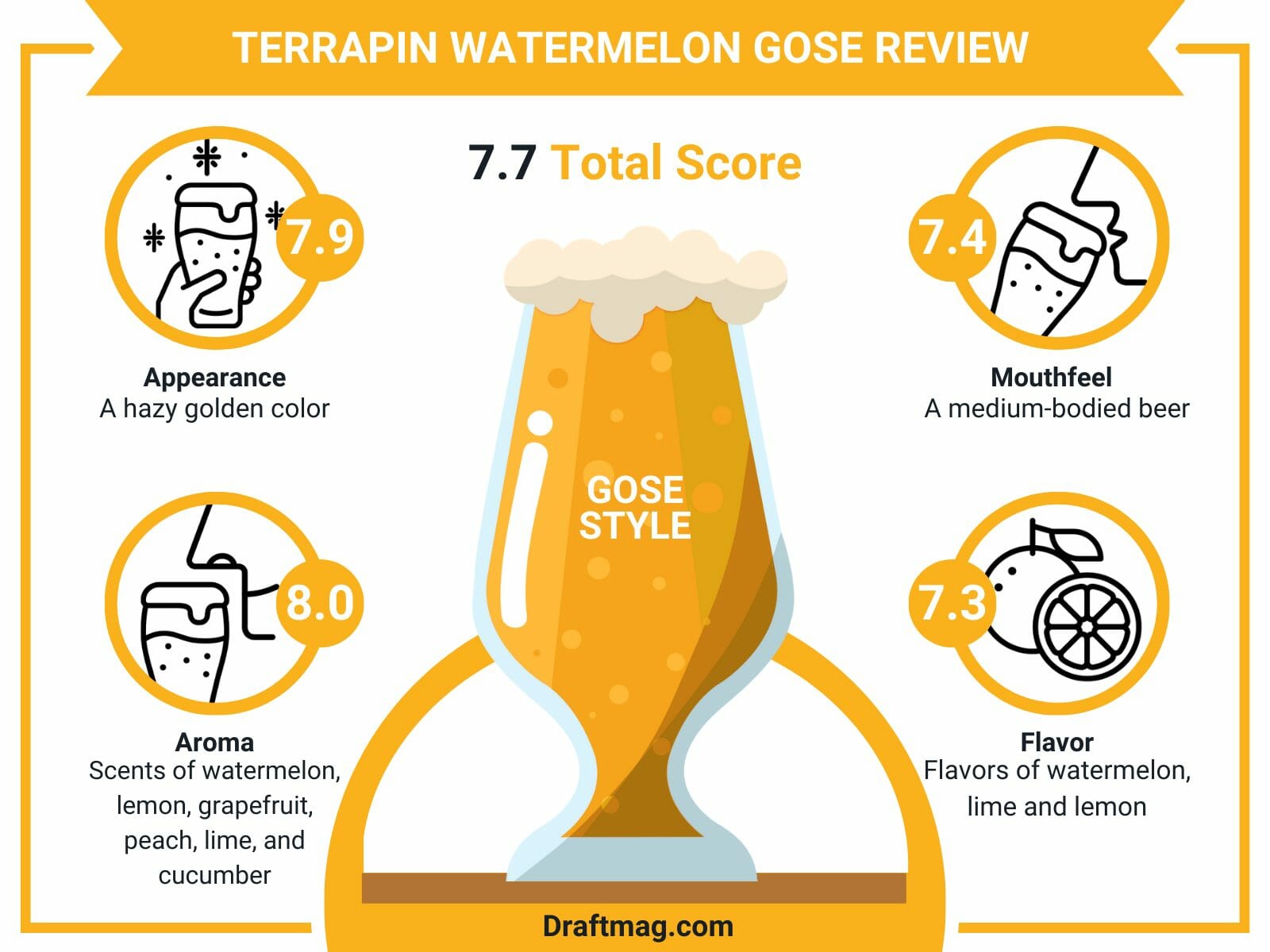 Terrapin Watermelon Gose Review Infographic