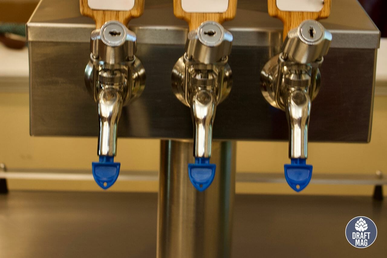 Insignia Kegerator Review Everything You Need To Know Before Buying