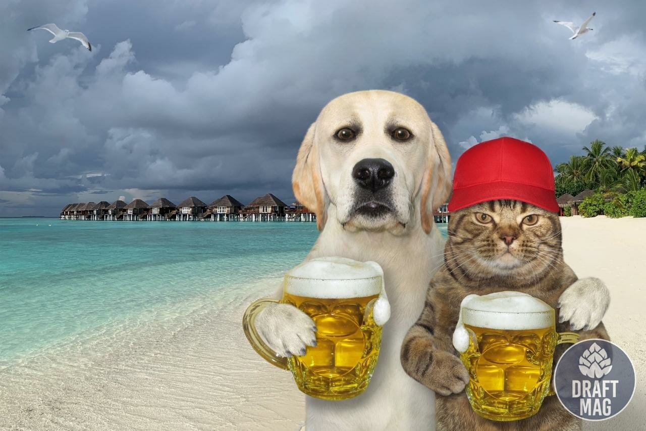 Tropical Beer Hug Review: A Close Look at This Tropical Imperial IPA