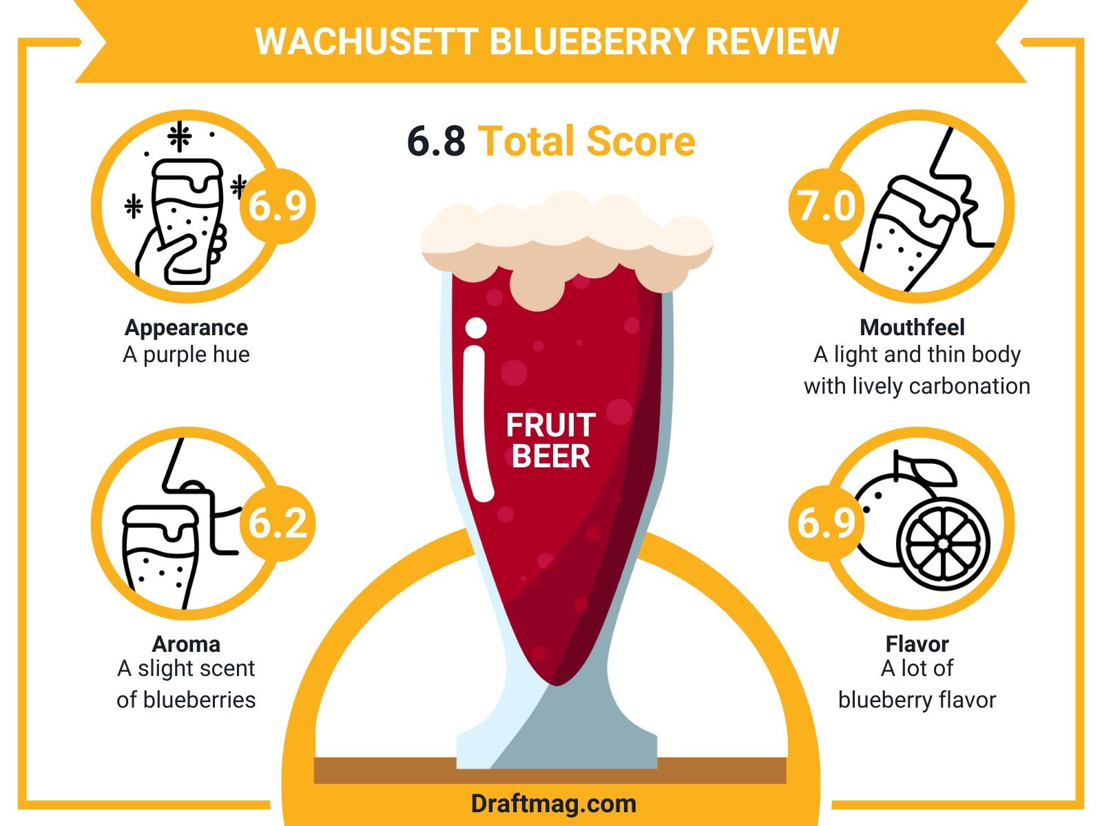 Wachusett Blueberry Review Infographic