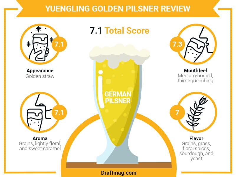 Yuengling Golden Pilsner Infographic