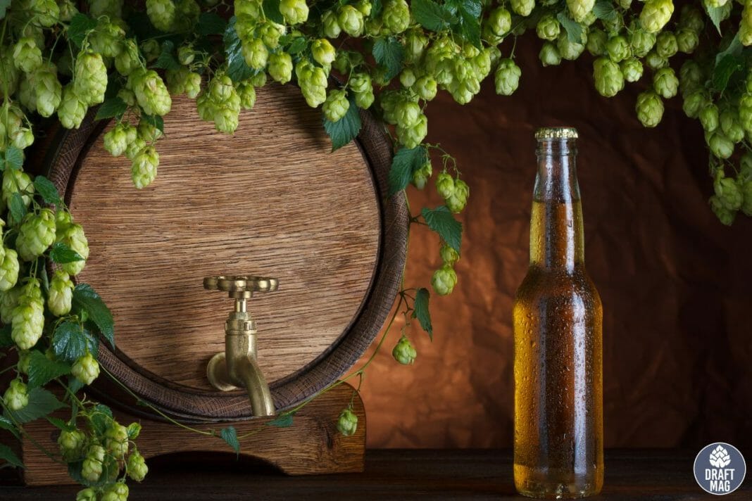 Savannah Breweries The Best Breweries in Oldest City