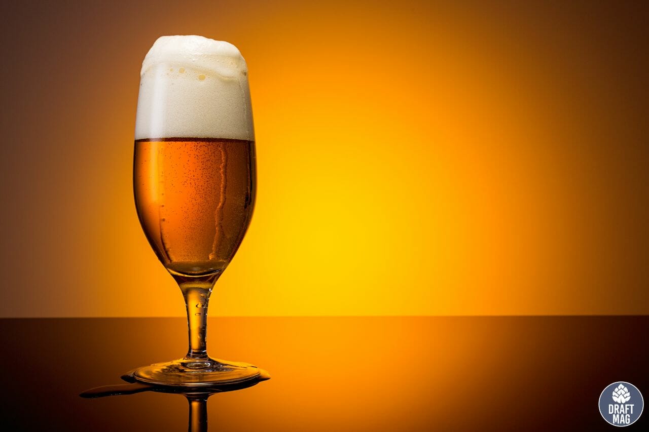 Best Breweries in Ann Arbor Mustvisit Spots for Beer Enthusiasts