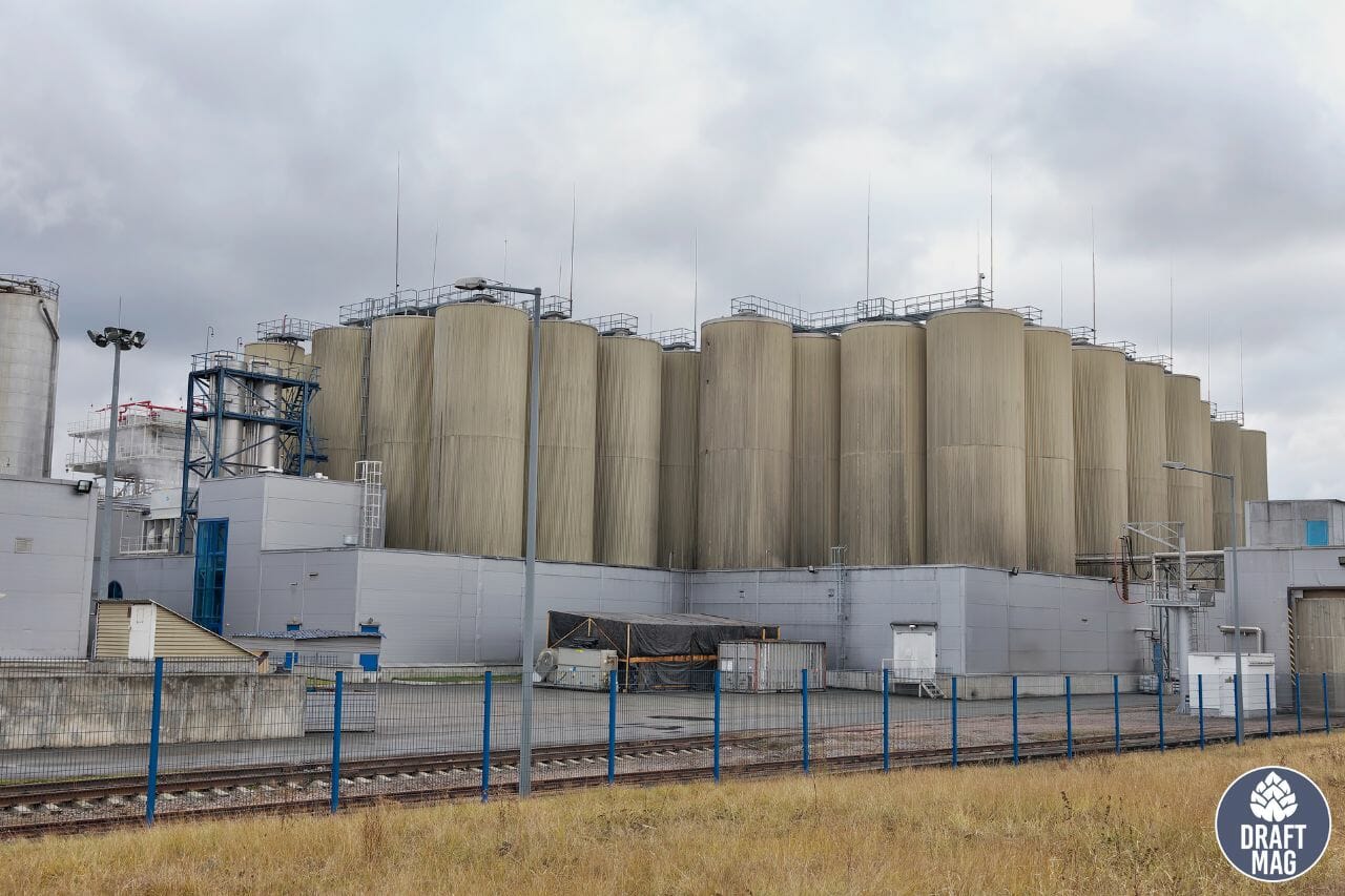 Best Breweries in Jacksonville Top Places for Beer in the City