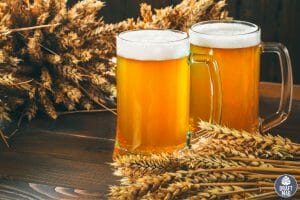 Best Breweries in Louisville Kentucky: Must-visit Places for a Tour