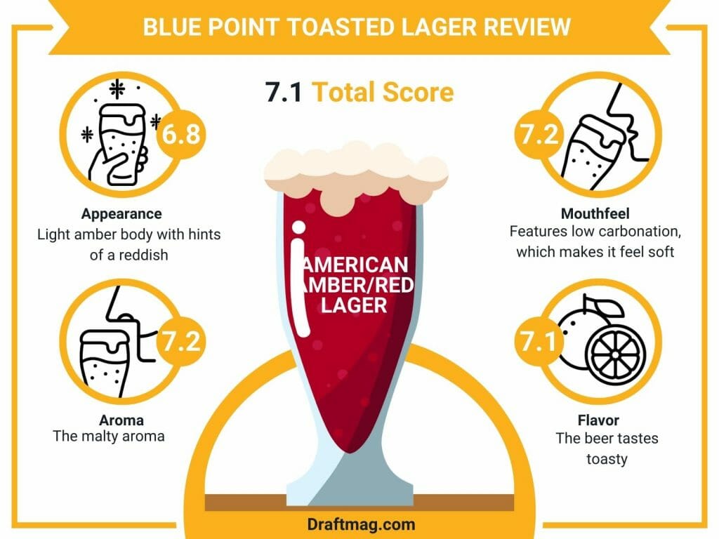 Blue point toasted lager infographic