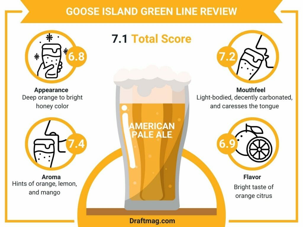 Goose island green line infographic