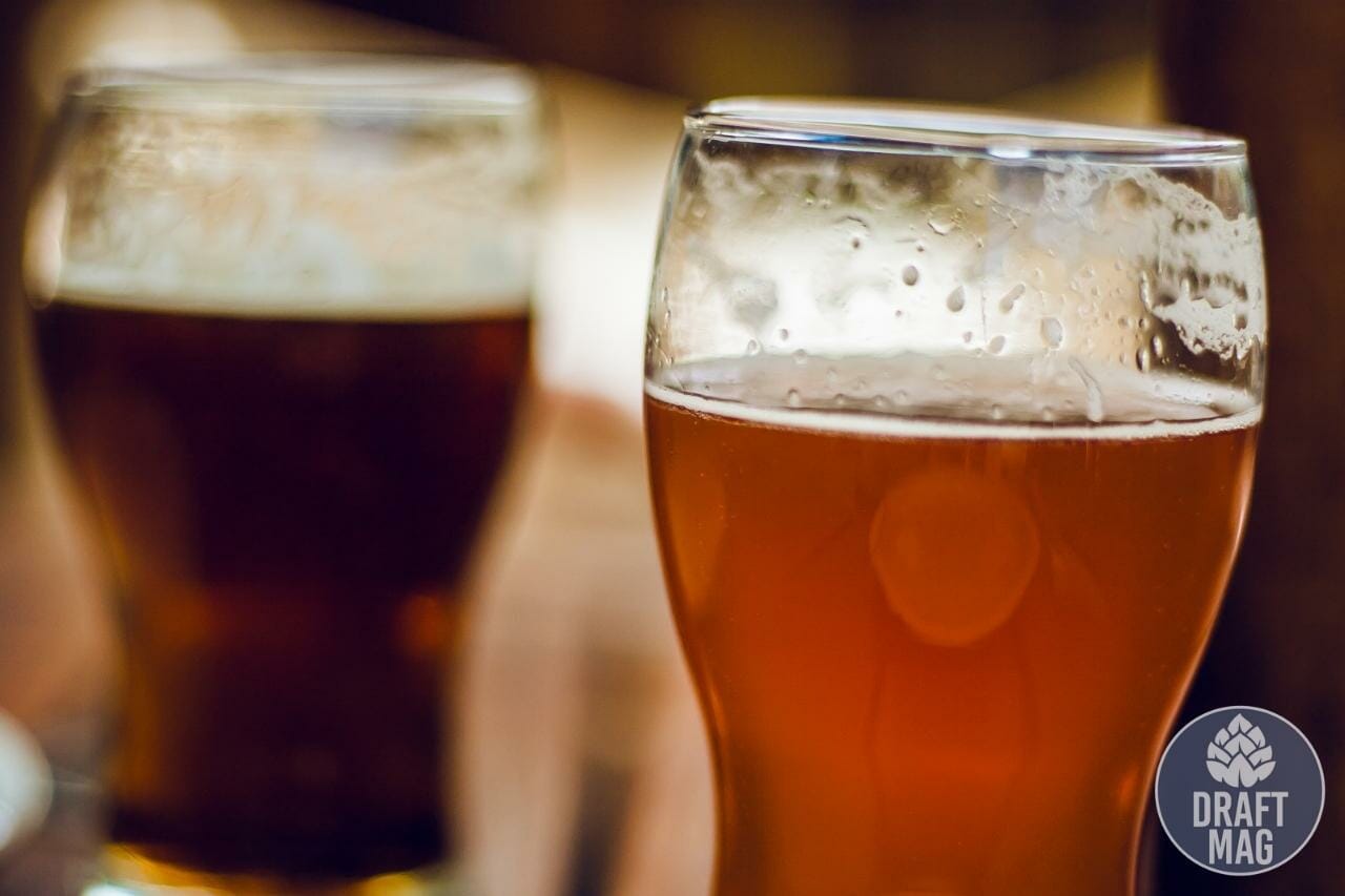 Shiner Ruby Redbird Review Do We This Fruitstyle Lager?