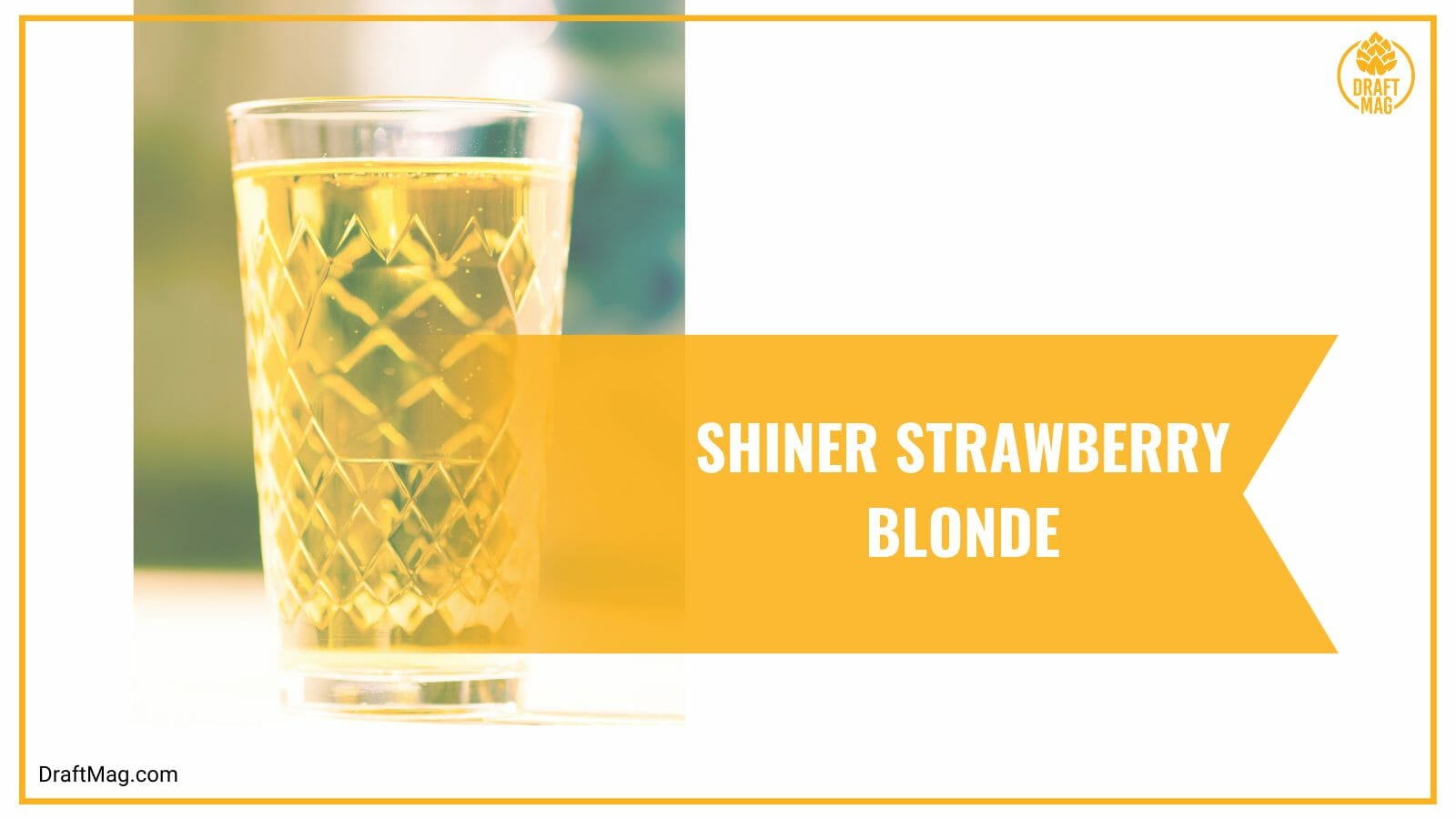 Shiner Strawberry Blonde Guide