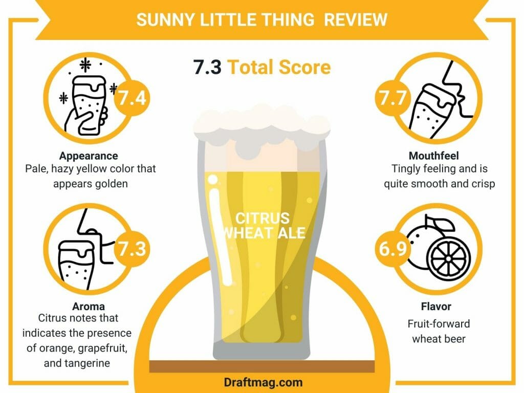 Sunny little thing infographic