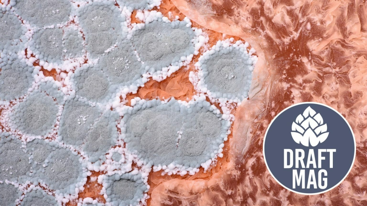 Valuable German Beer Stein Markings Review A Guide To Identifying Marks