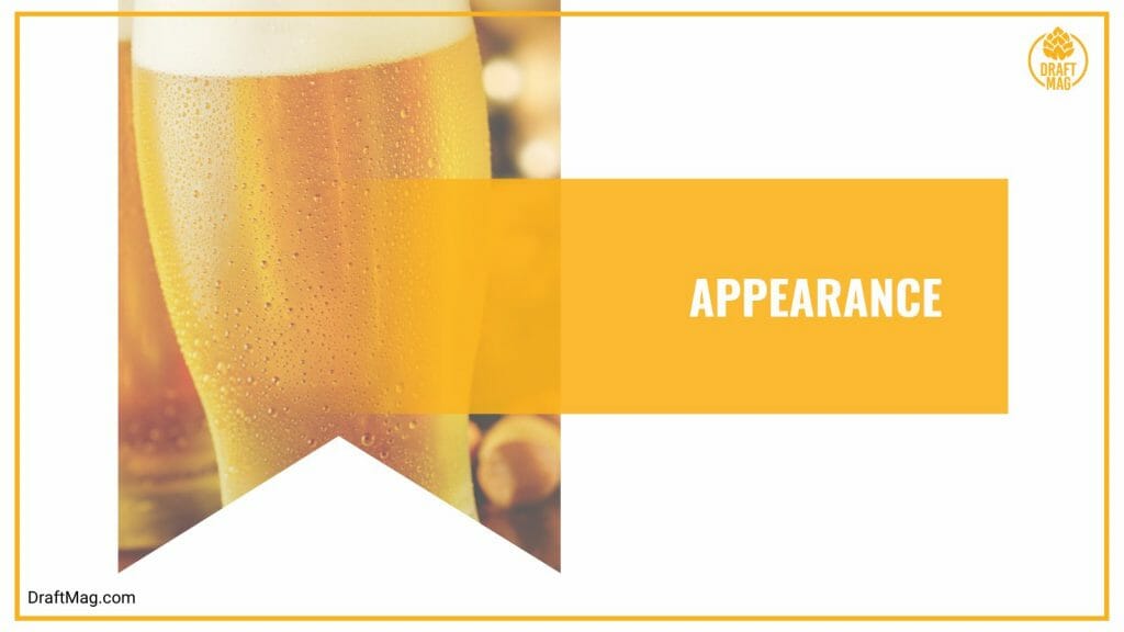 Daisy Cutter Beer Review For Pale Ale Lovers