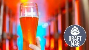 Is Beer Alcohol? Busting Popular Brew Myths With Science