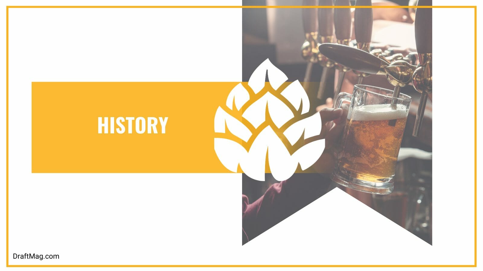 A great history of xingu beer