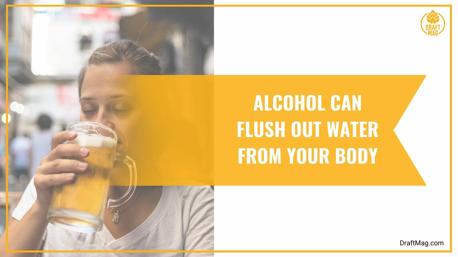 Alcohol flush out water from your body