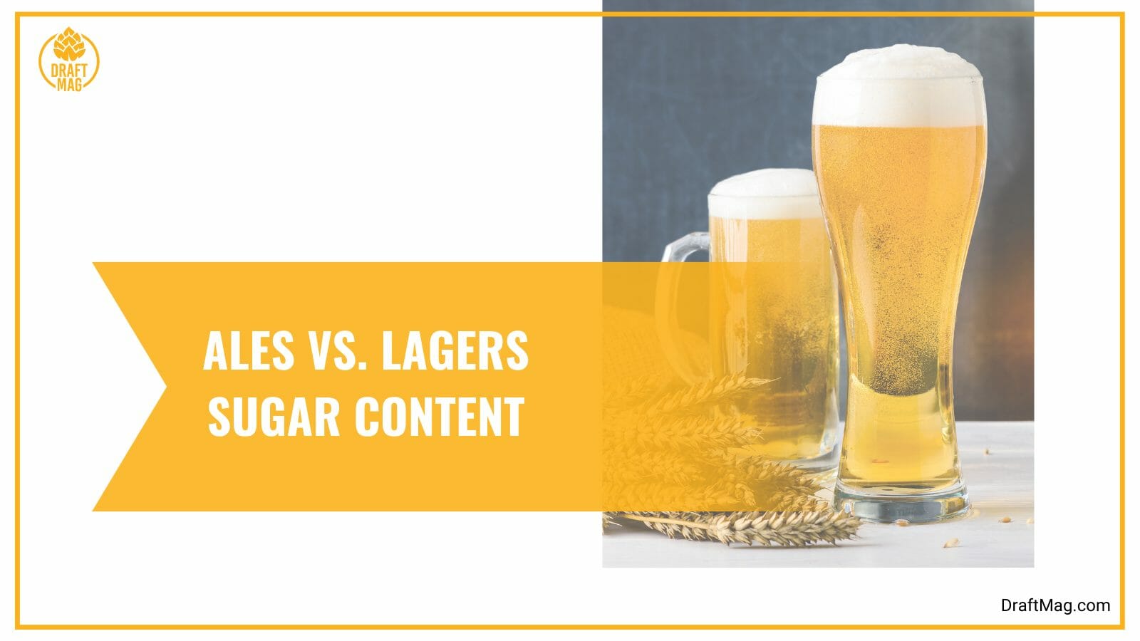 Ales vs lagers sugar content