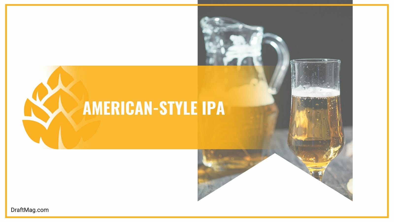 American ipa beer style