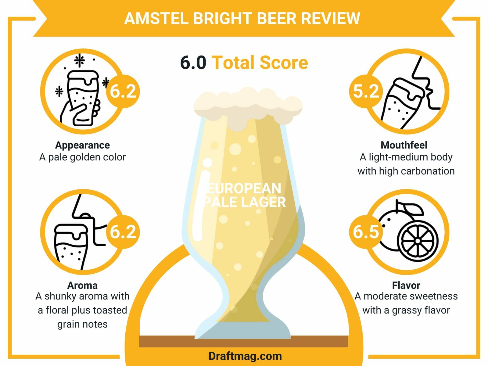 Amstel bright beer review infographic