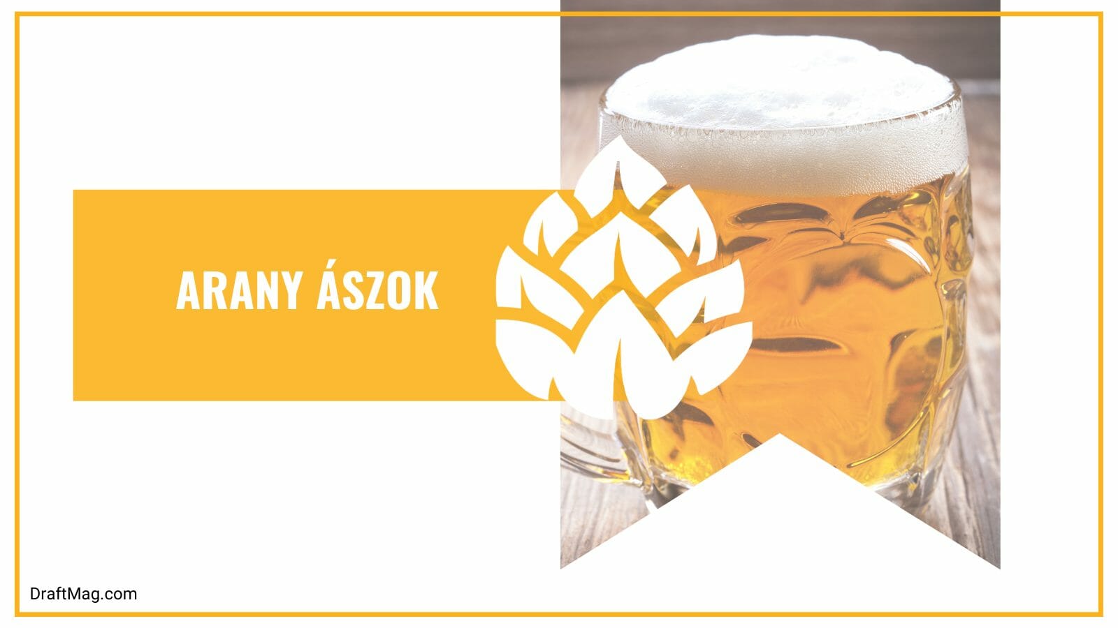 Arany aszok most popular hungary beer