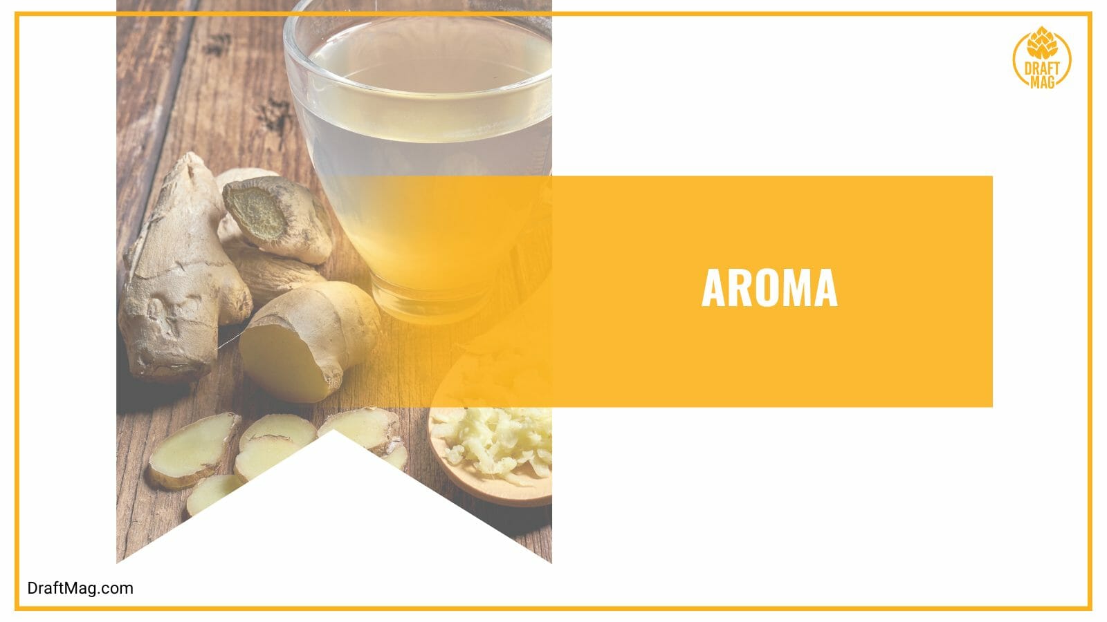 Aroma of ginger beer