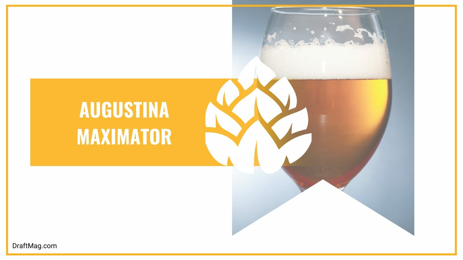 Augustina maximator with bready aromas