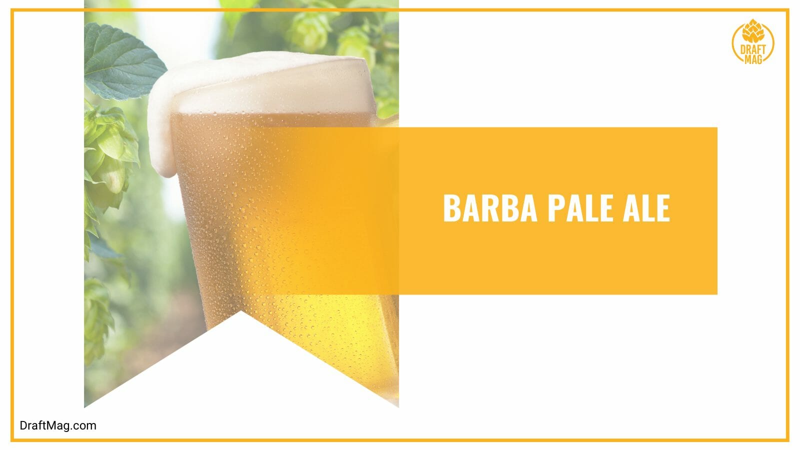 Barba pale ale with pines