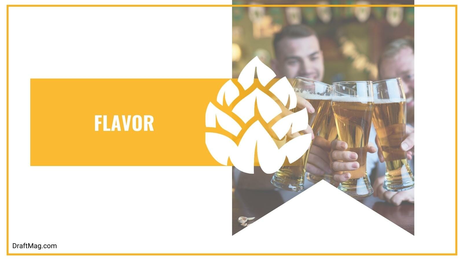 BarrelHouse Mango IPA Review Should This Be on Your 'ToDrink' List?