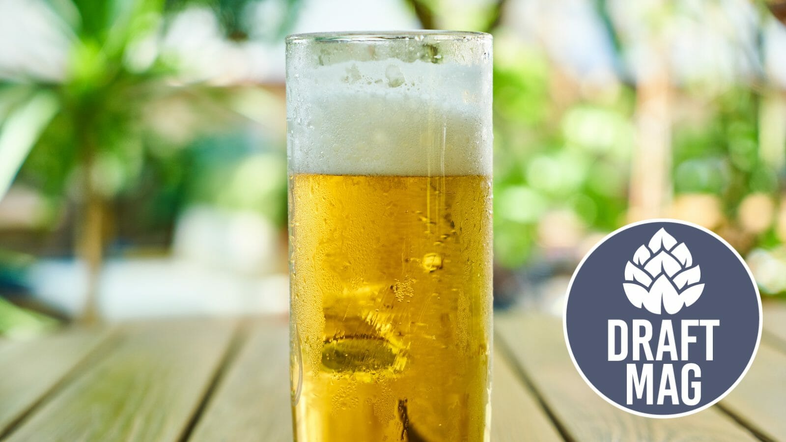 Barrilitos Beer Review An American Adjunct Lager to Behold