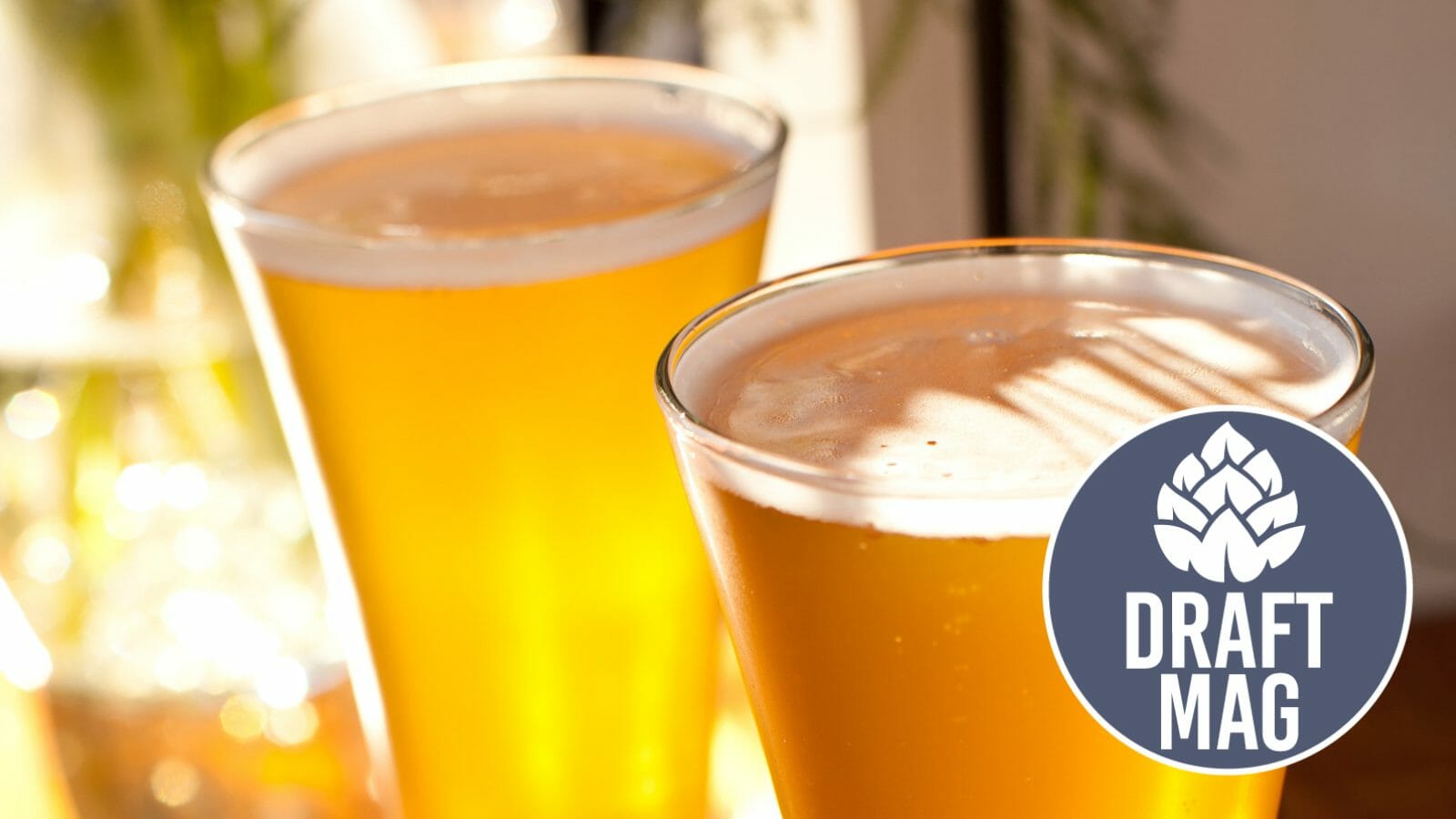 Bean Flicker Review Give This Unique Blonde Ale a Try