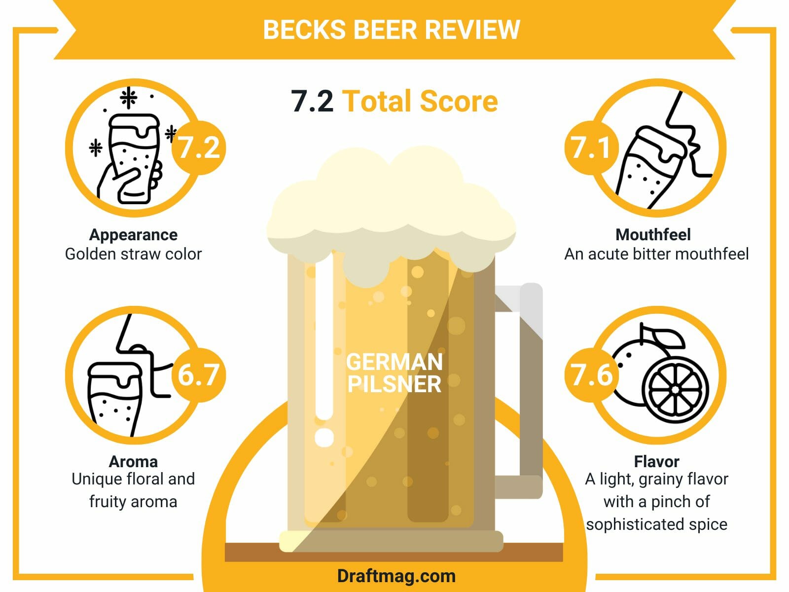 Becks beer review infographics