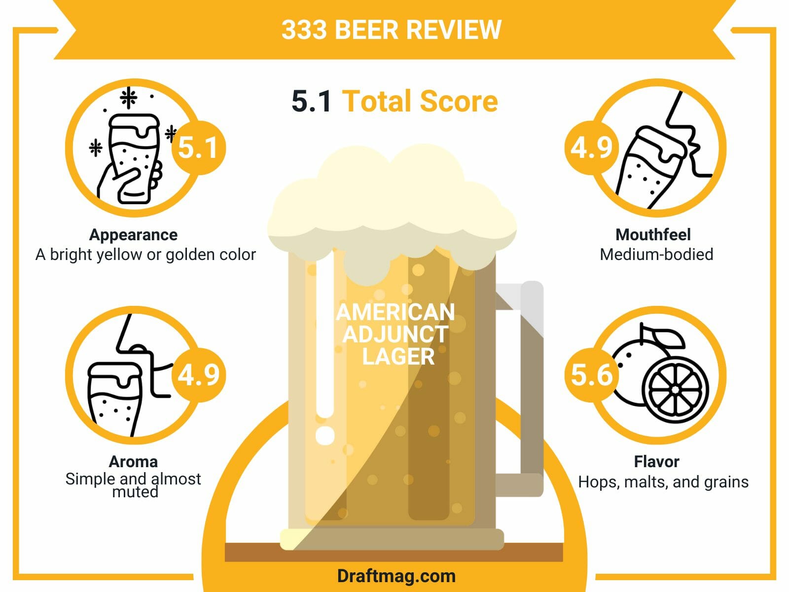 Beer review infographic