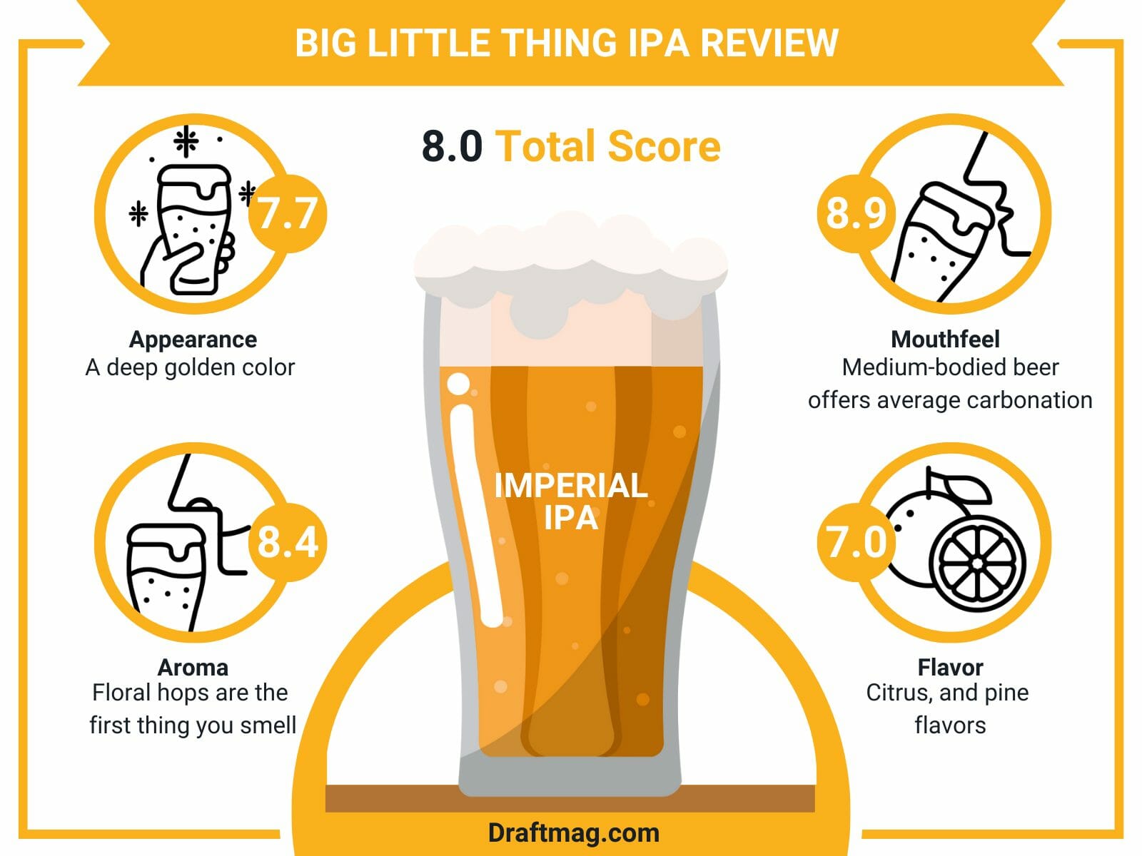 Big little thing ipa review infographic