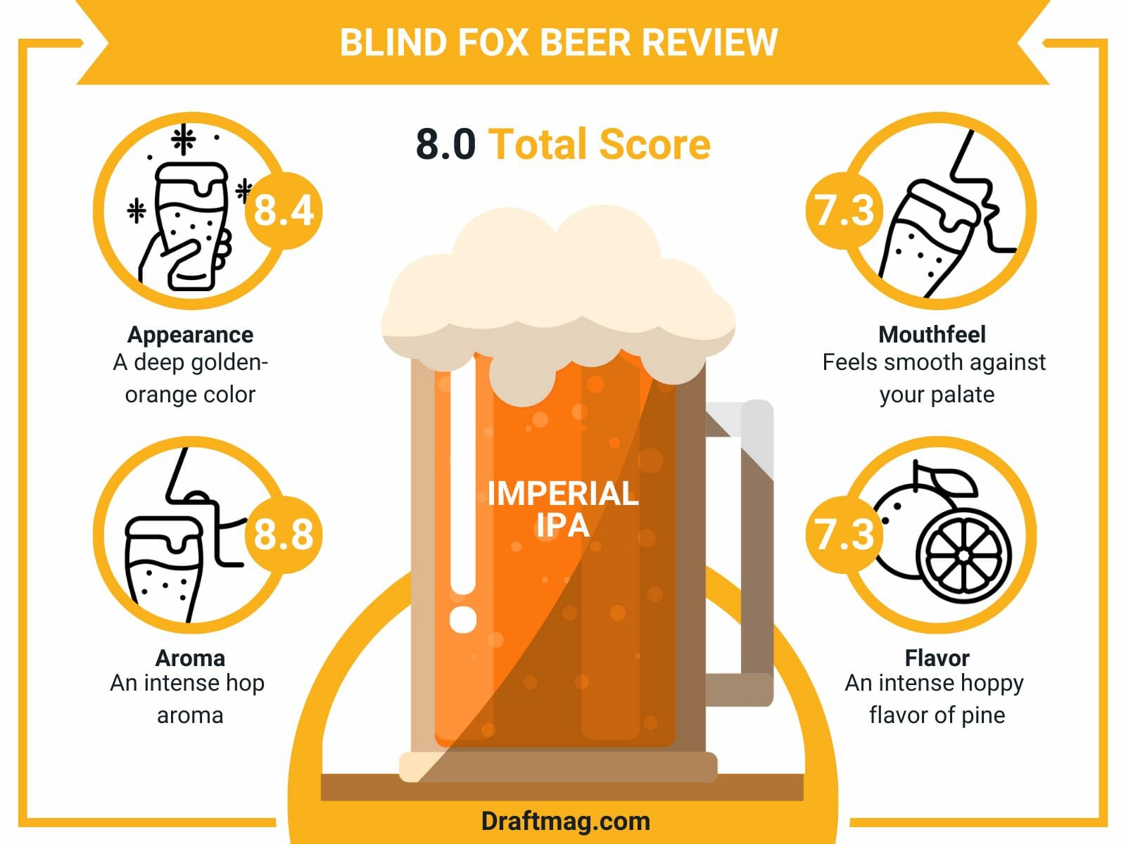 Blind fox beer review infographics