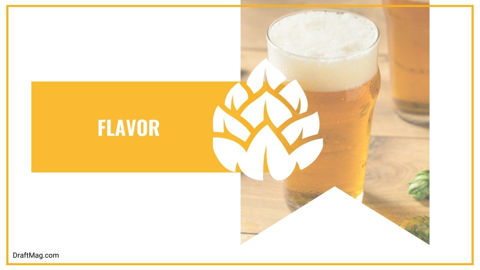 Blonde BJ Review Drinkable German Kolsch for Summer Days