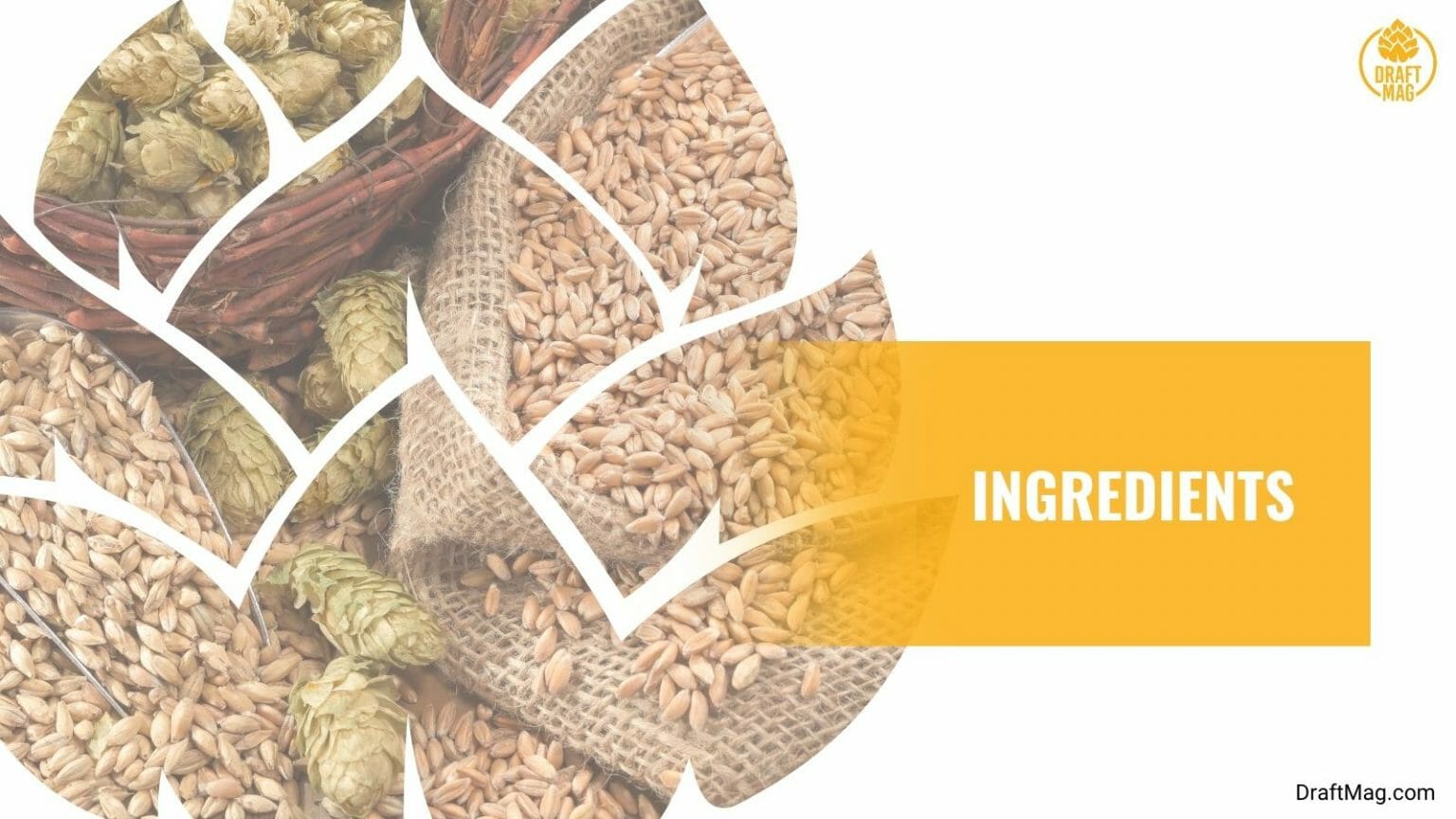 Blonde BJ Review Drinkable German Kolsch for Summer Days