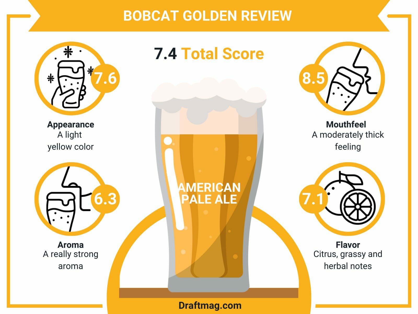 Bobcat golden review infographics