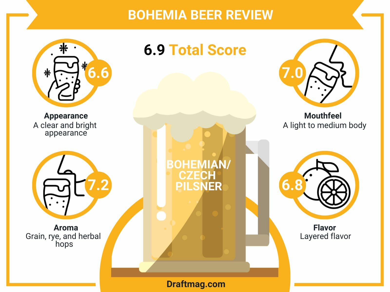 Bohemia beer review infographic