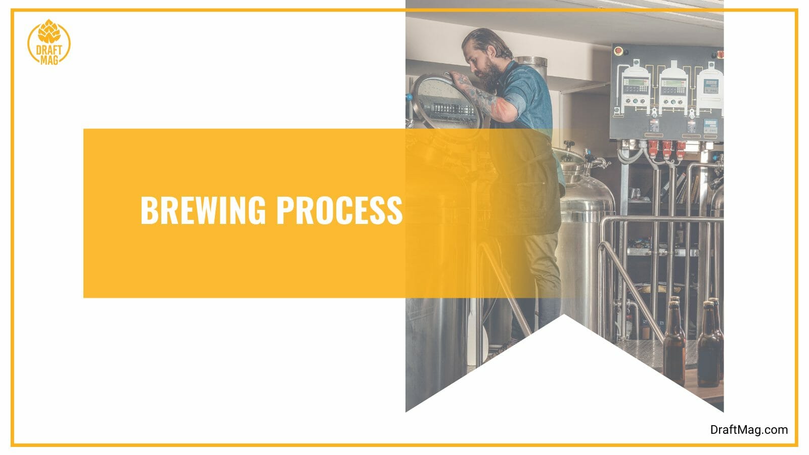 Brewing process of beer