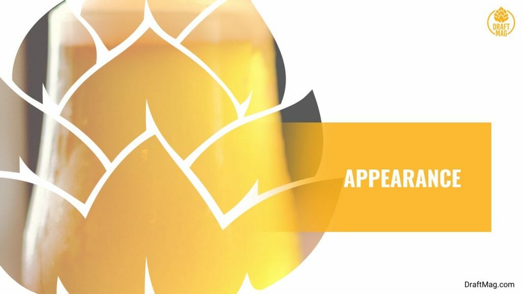 Redd’s Blueberry Ale Review A Complete Guide to This Fruity Beer