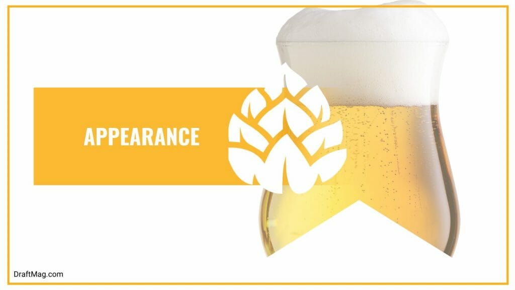 Becks Beer Review The GermanStyle Pilsner