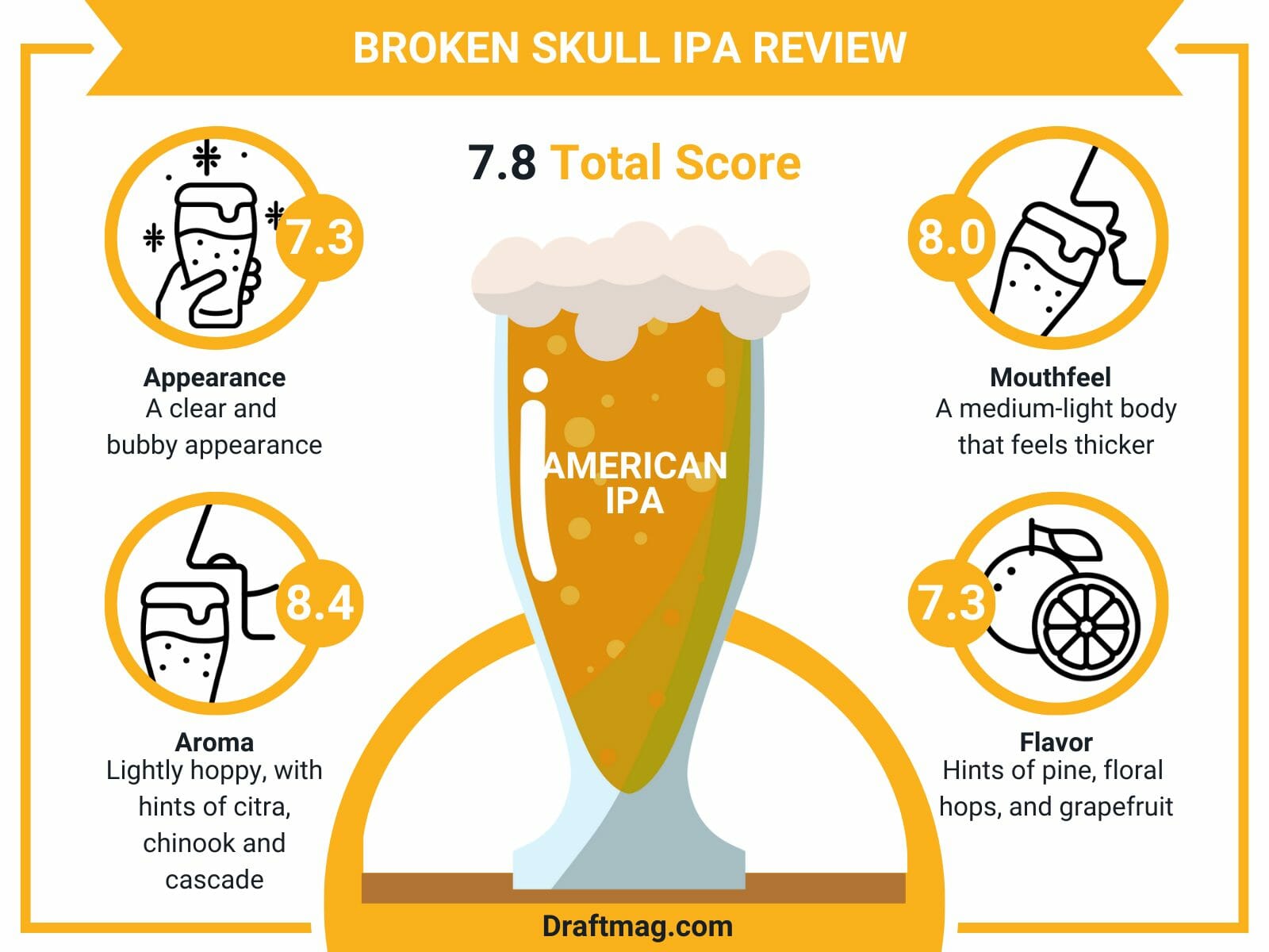 Broken skull ipa review infographic