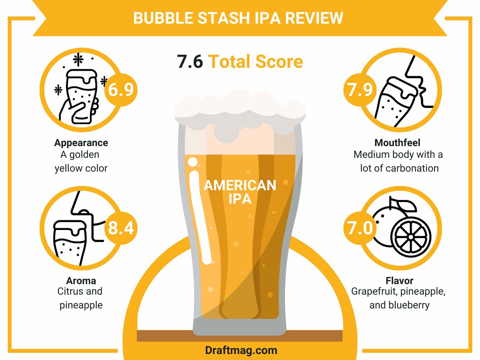Bubble stash ipa review infographic