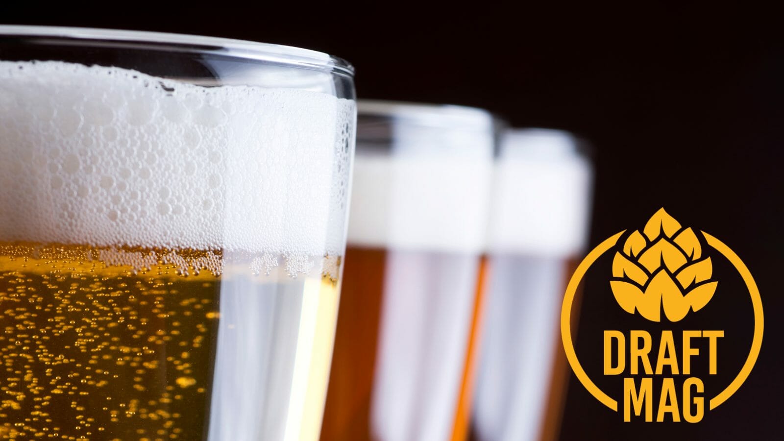 Bud Dry Review Classic American Lager With Drinkable Body