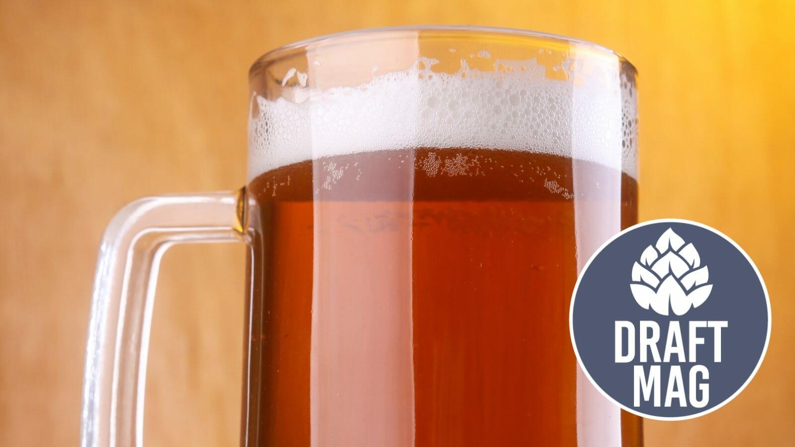 Bud Light Apple Review The Beer That Reminds You of Apple Juice