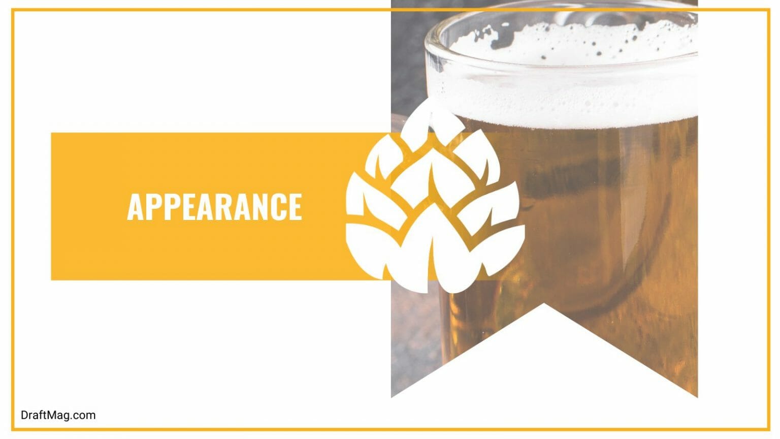 Golden Champale Review Does This Malt Liquor Taste Like Champagne