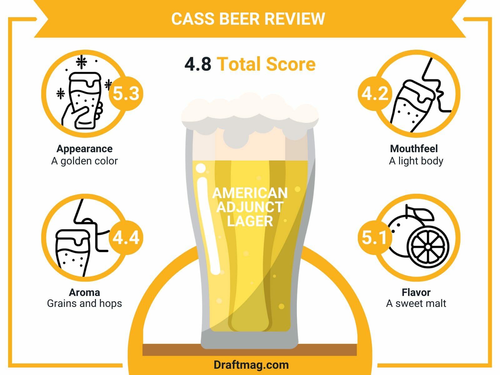 Cass beer review infographic